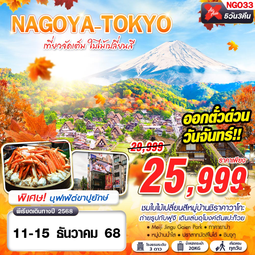 NAGOYA-TOKYO เที่ยวจัดเต็ม ใบไม้เปลี่ยนสี (บินดึก กลับสาย) 5D3N
